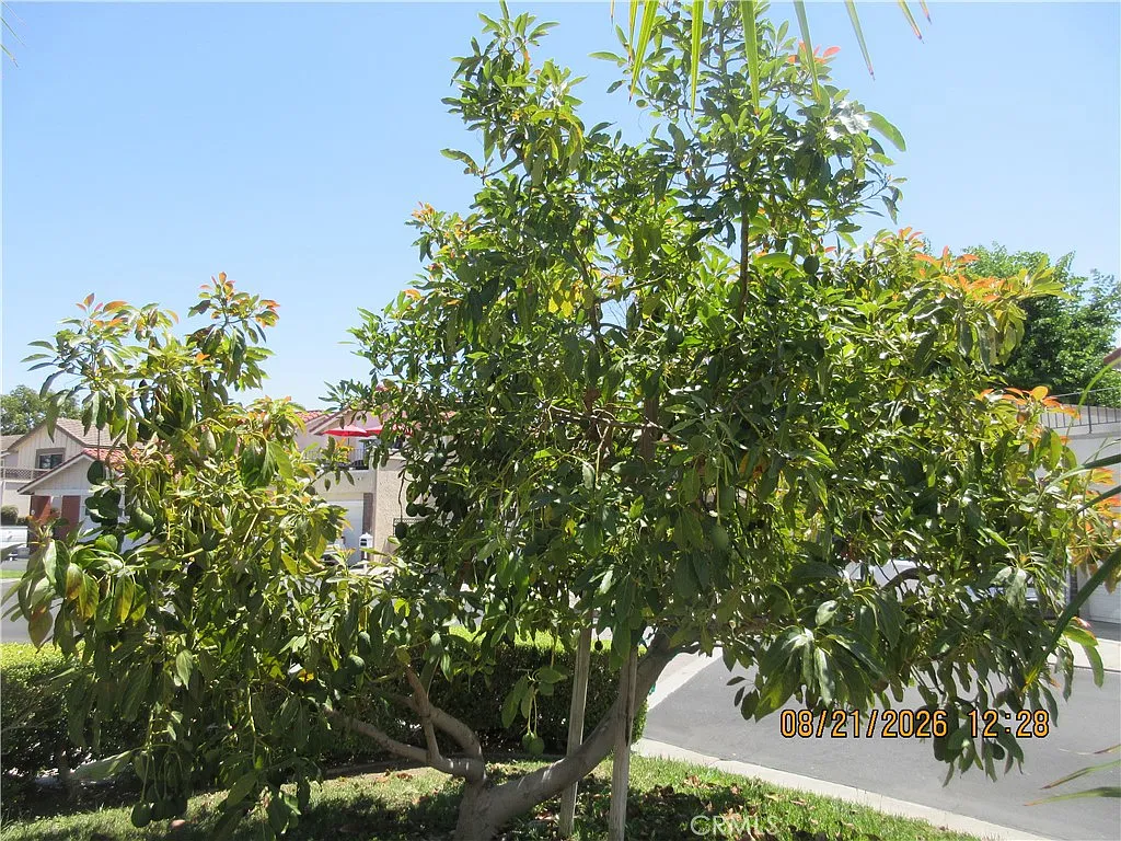 4 bed, 1933 sqft, $4,800 — Photo 3