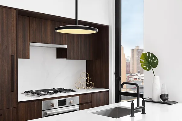 Rented by Douglas Elliman | media 15