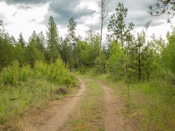 4110 Cemetery Rd, Springdale, WA 99173