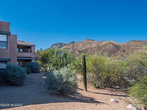 5855 N Kolb Rd #3105 Photo 1