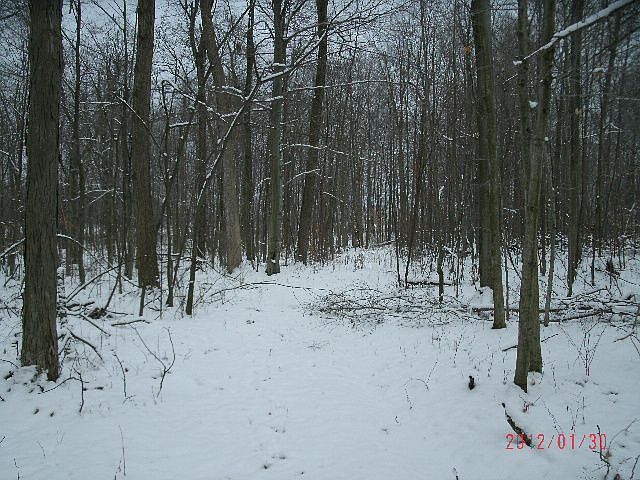 34 acres Mussey Twp