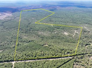Fm 247, Huntsville, TX 77320