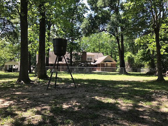 View where the deer play