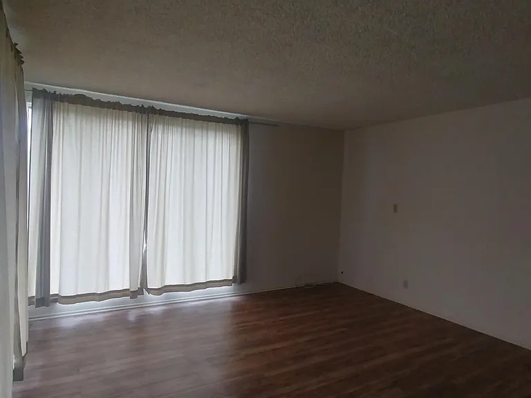 821 Olive Ave #5 — Photo 6