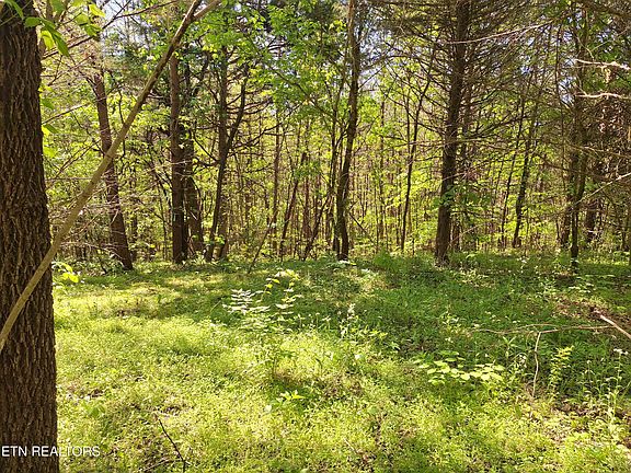 4th image of Payne Rd