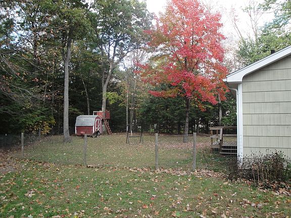 Fenced-in Backyard