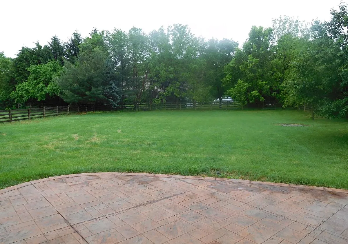 5 bed, 2.5 bath, 3170 sqft, $3,350 — Photo 3