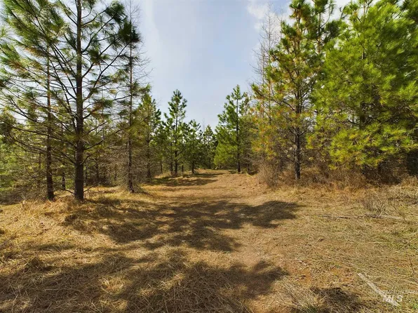 Nka Upper Fords Creek Rd, Orofino, ID 83544