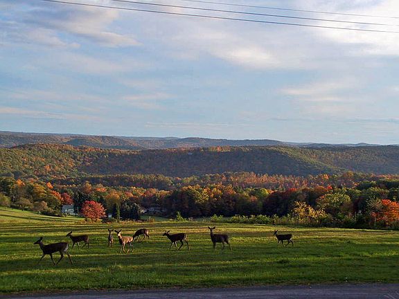 Only 1.7 mi. from Rt. 879