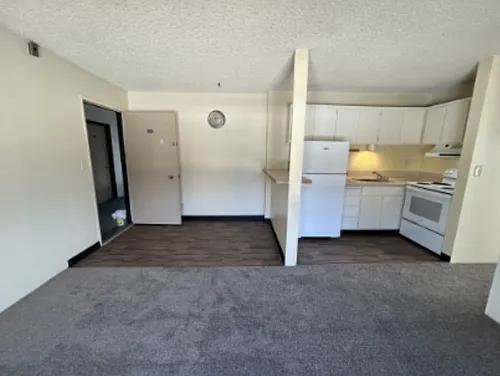 4111 11th Ave NE #6008 Photo 1