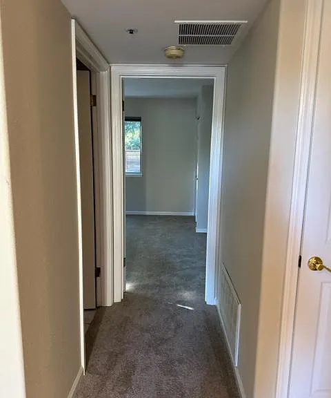 25 Coopers Hawk Ct — Photo 8