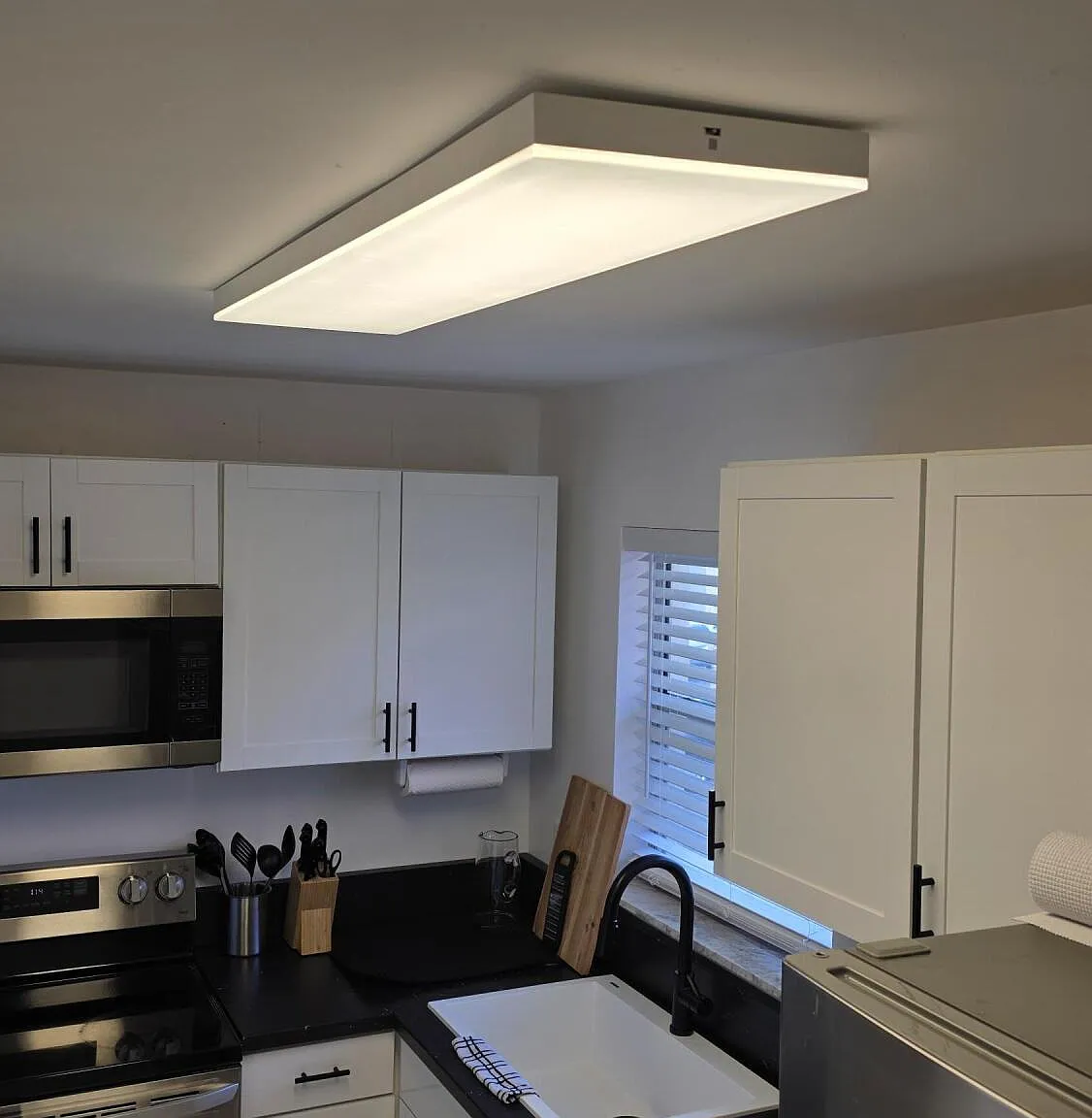1 bed, 1.0 bath, 600 sqft, $1,250 — Photo 4