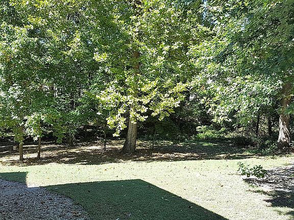 4th image of 77 Magrath Dr