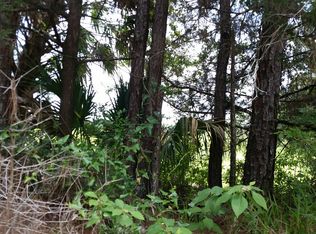 000 Black Point Rd, Bunnell, FL 32110