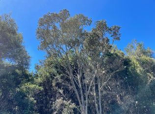 9 Painiu Loop LOT 9, Volcano, HI 96785