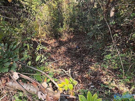 2nd image of LOT 13 Hill St