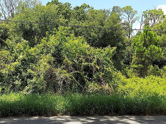 3rd image of 432 Highlands Lake Dr