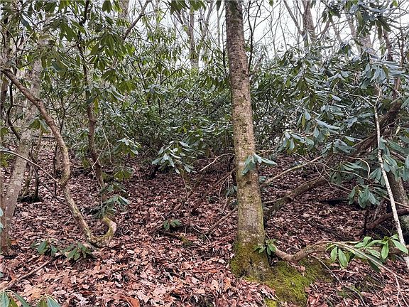 4th image of 2.13 Acres Big Ridge Road