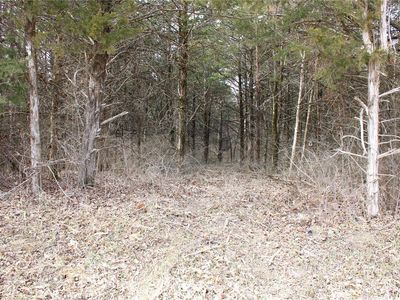 4 Monroe Pl #875, Mexico, MO, 65265
