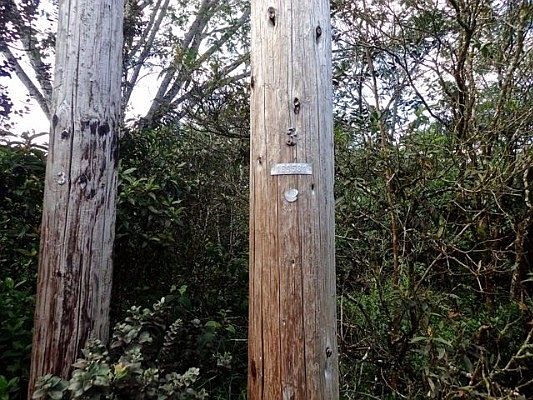2nd image of 13th Ave Lot 1192