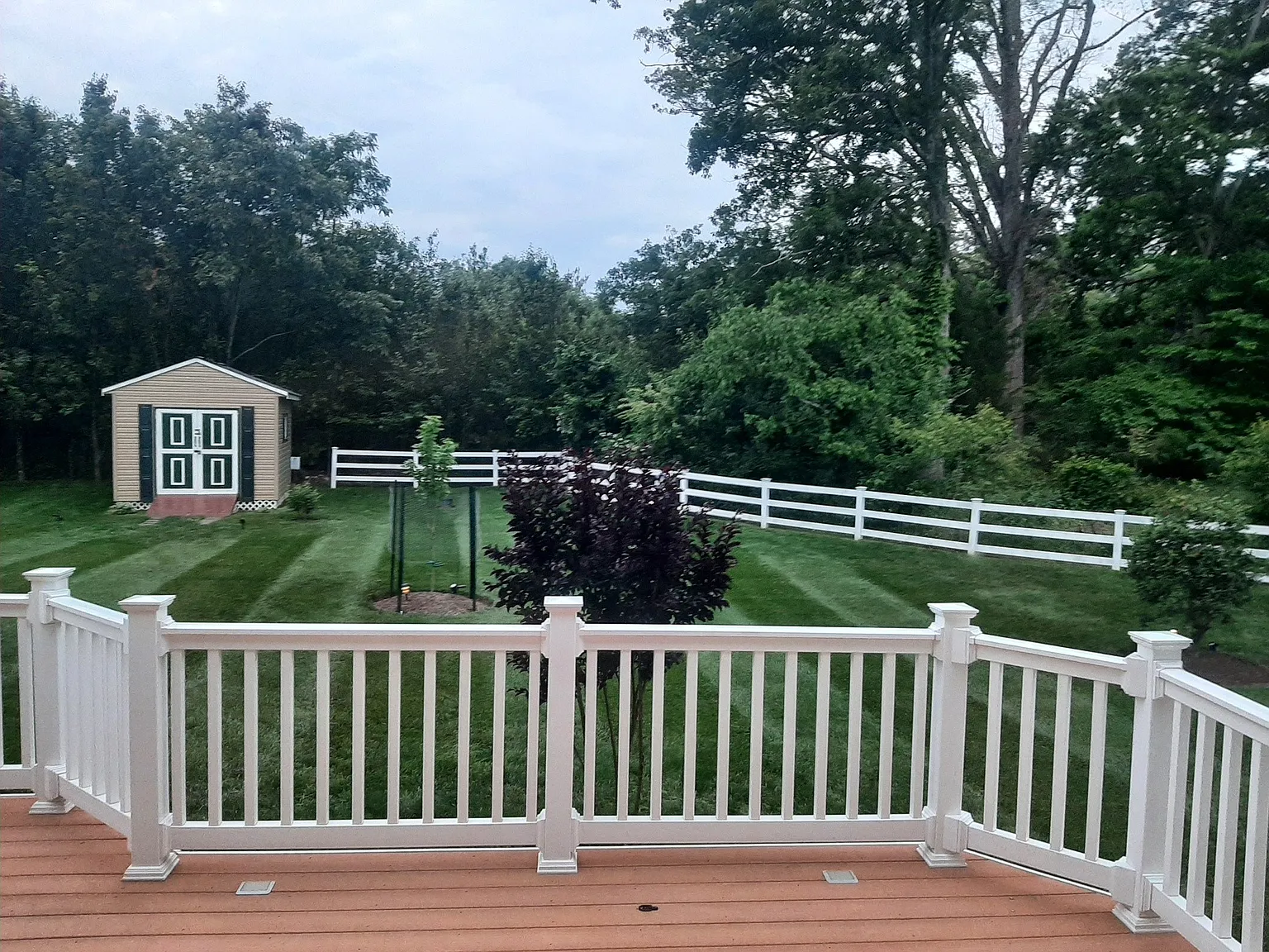 5 bed, 3.5 bath, 3328 sqft, $3,900 — Photo 4