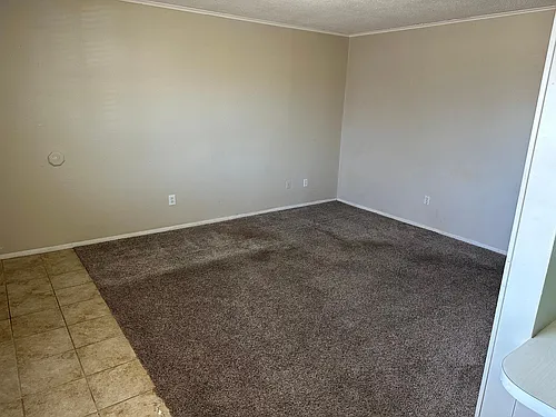 1005 Faye Ave #3 Photo 1