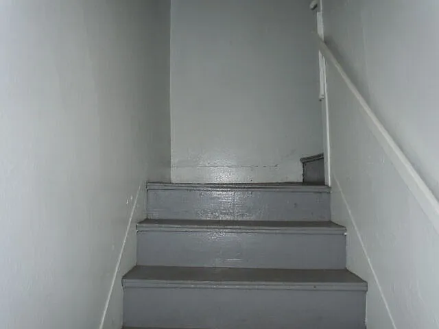 back hall access to apt.