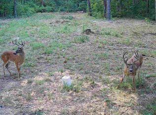 000 County Road 625, Birch Tree, MO 65438