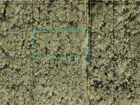 21-10-28-2775-00 Ruth Ave, Hastings, FL 32145