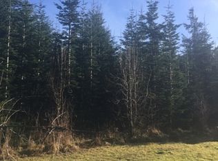 151 Topelt Rd, Pe Ell, WA 98532