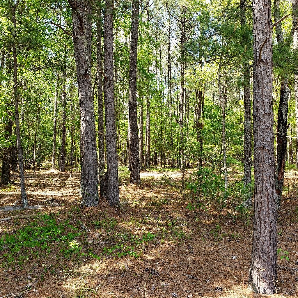 LOT 2 Dairy Rd, Ridge Spring, SC 29129 MLS 111641 Zillow