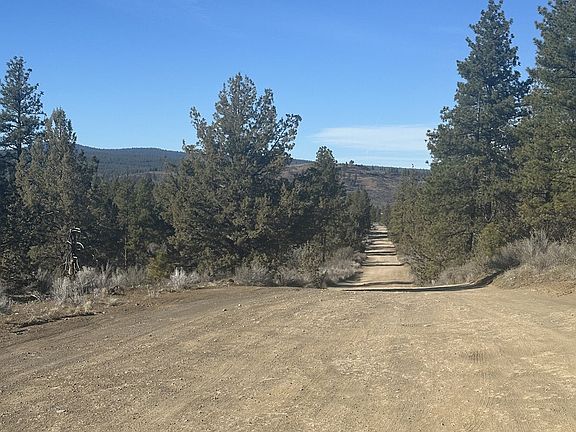3rd image of Ruffed Grouse 7 Sprague Riv