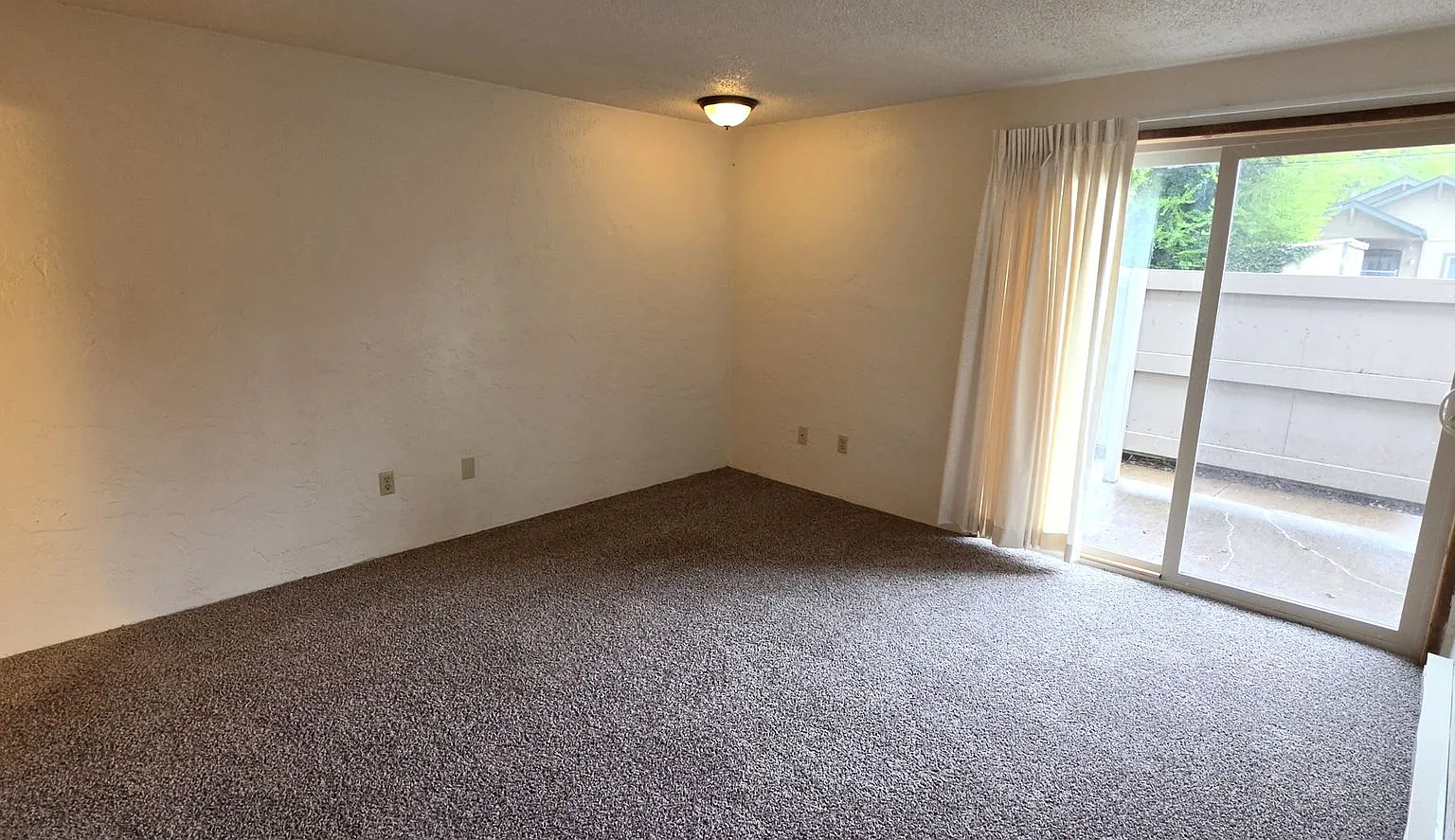 Willow Tree Apartments — Photo 4