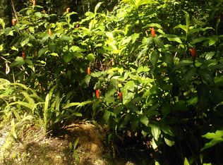 4330 Neff Lake Rd, Brooksville, FL 34601