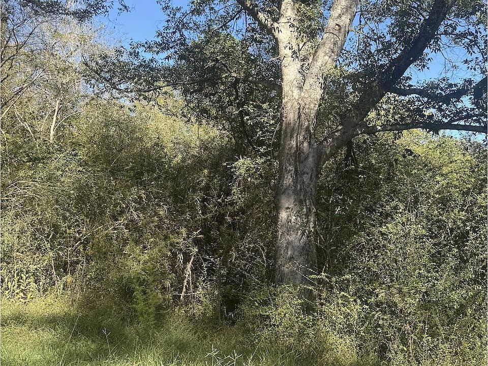 2nd image of Morgan Rd