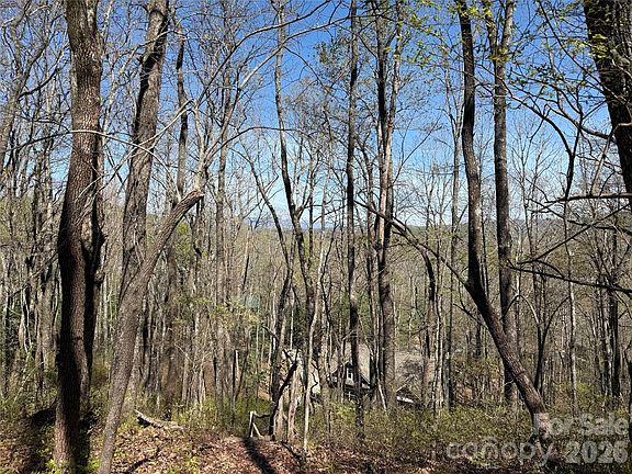 5th image of White Oak Ter #9