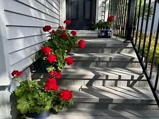 4th image of 14 Emerson Street