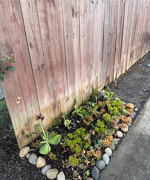 Across from Front Door
