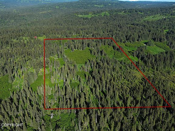3rd image of L-22 Kachemak Way