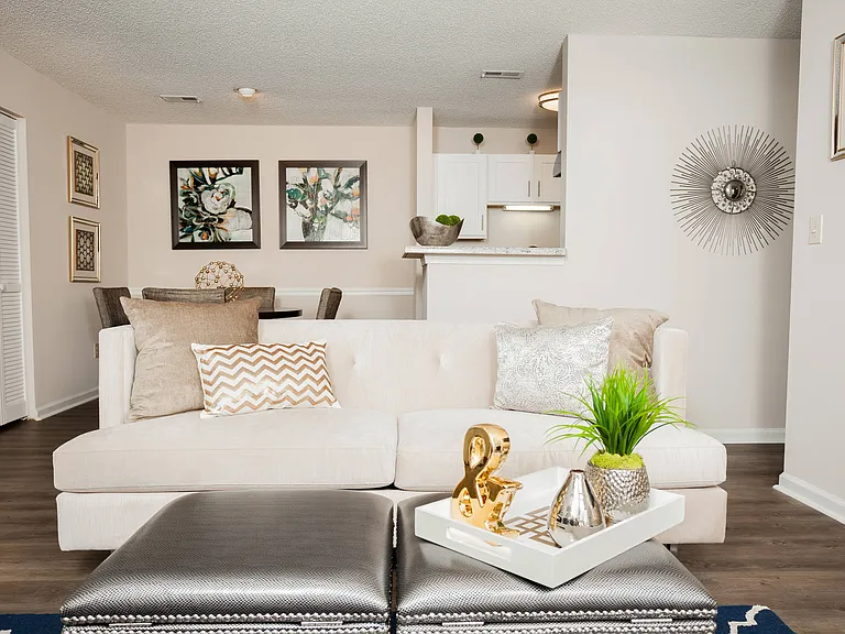 Living Room Area