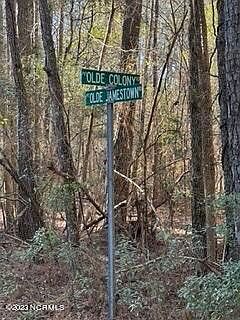 2nd image of 84 Olde Jamestown Road LOT 84