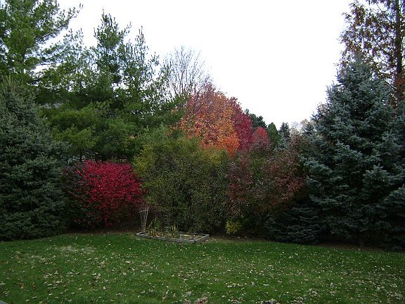2nd image of 7170 Blessington Ct