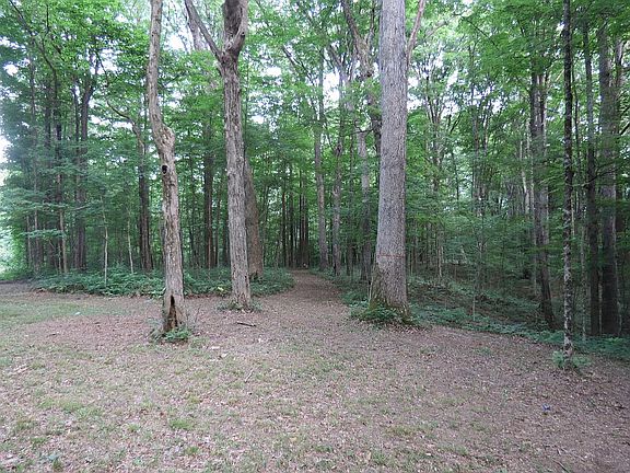 Beginning of trail