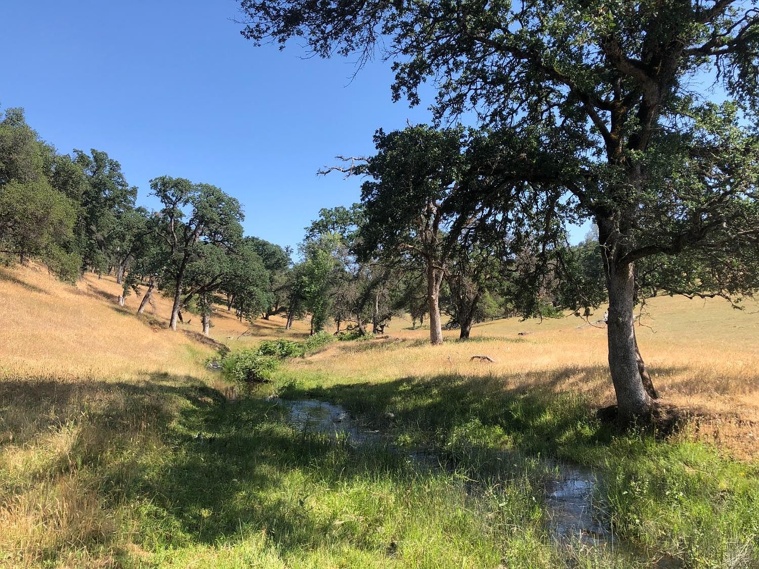 2813828205 McCourtney Rd, Grass Valley, CA 95949 MLS 223044240 Zillow