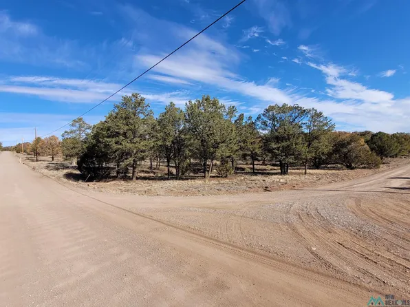 Xx Homestead Trl, Datil, NM 87821