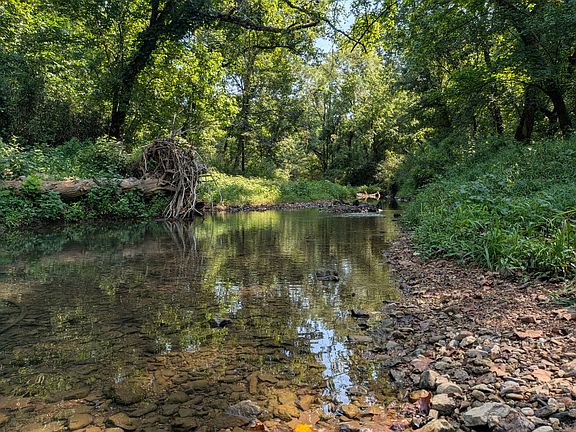 3rd image of 3229 Jarrell Ridge Rd
