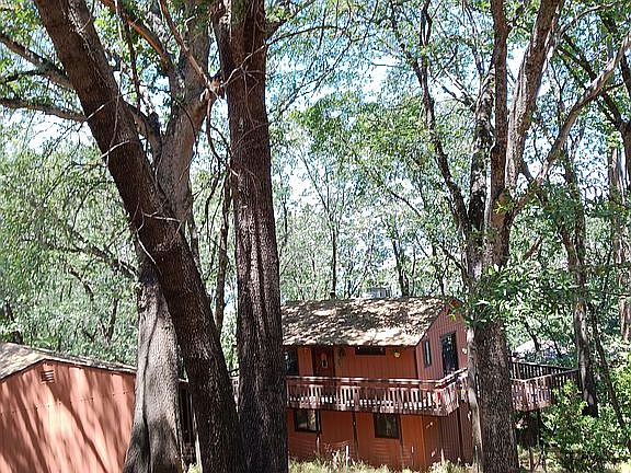 Mature Oaks at 3076 RH Dr.