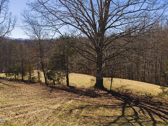 4th image of Sutton Hollow Rd