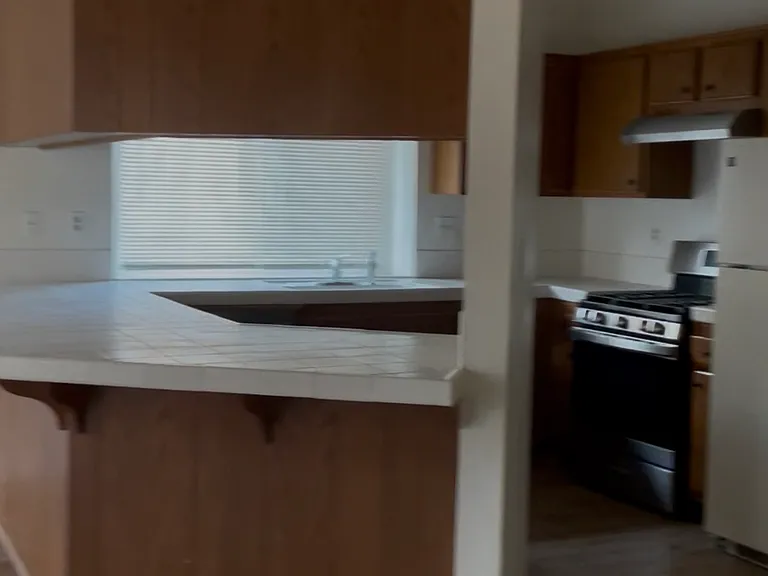 4816 Vitrina Ln — Photo 6