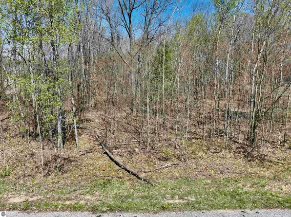 LOT 20 Bramblewood Dr, Cadillac, MI 49601